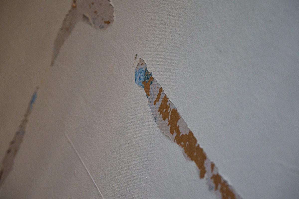 Commercial Water Damage service in Lakewood, WA